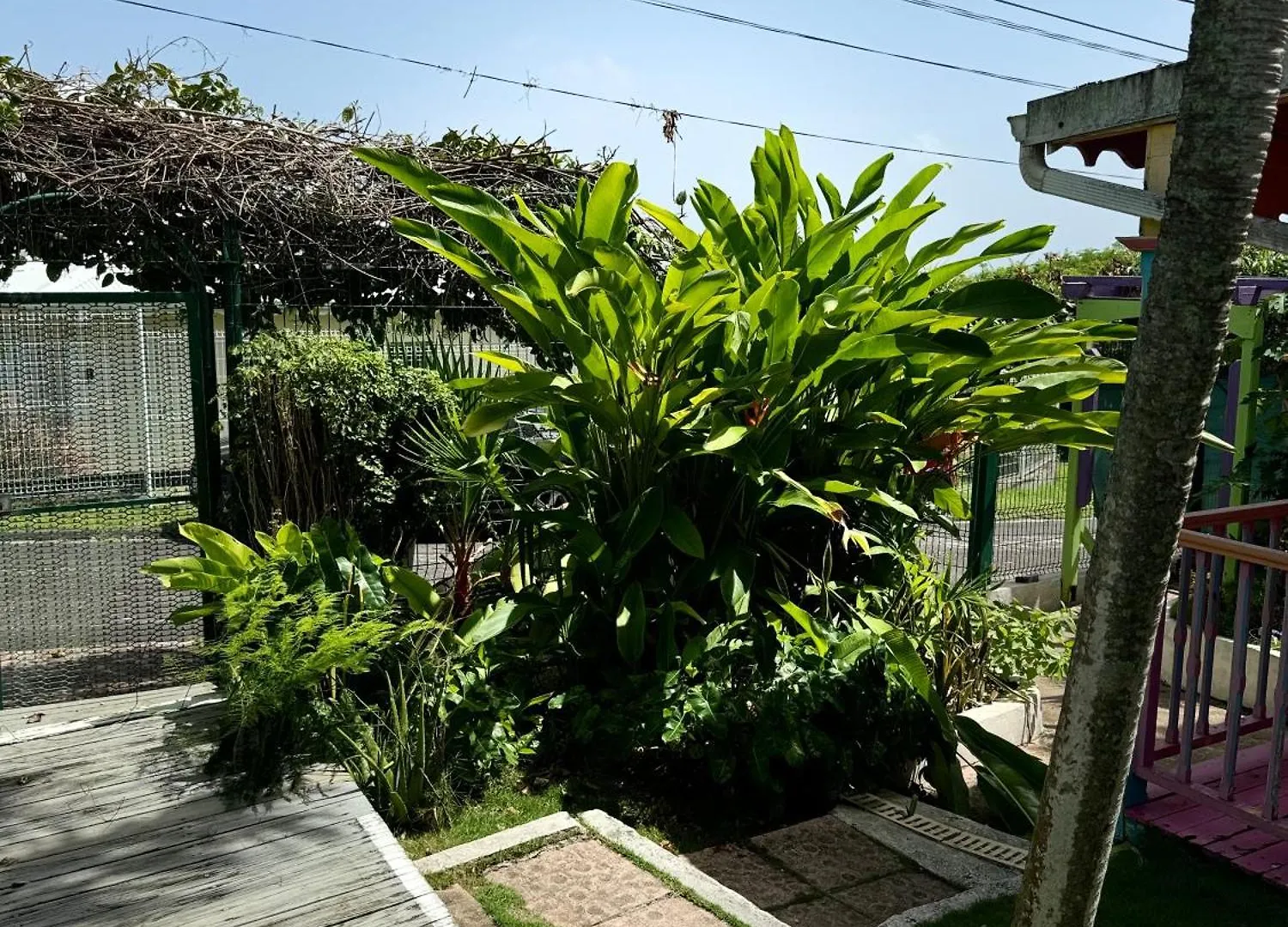 Alpinia Bungalow Сент-Анн 0*,